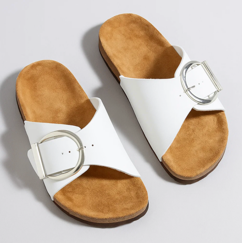 Buckle Slides